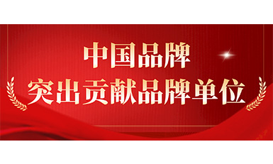 304am永利集团电梯获评“凸起贡献品牌单元”，设置中国品牌标杆力量